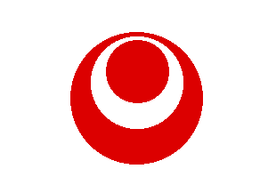 Okinawa Flag